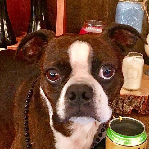 Archie